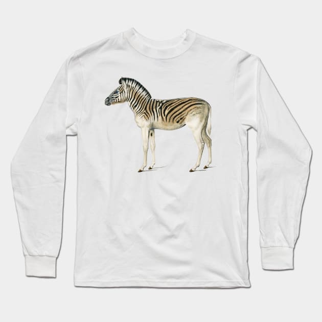 Vintage mountain zebra-animalia Long Sleeve T-Shirt by Phantom Troupe